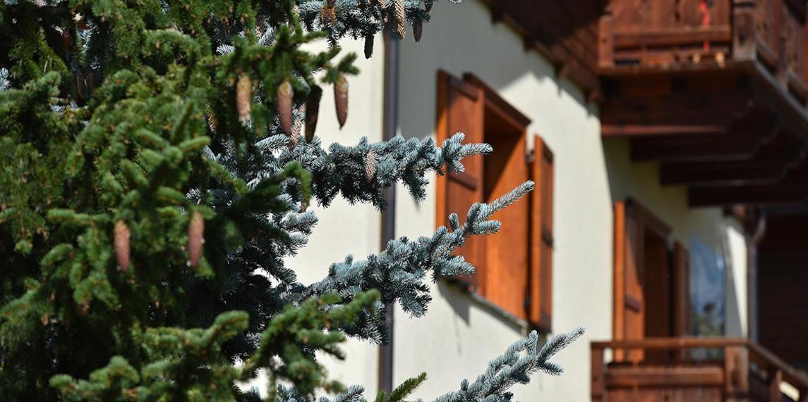 Chalet Barbara ليفينو المظهر الخارجي الصورة